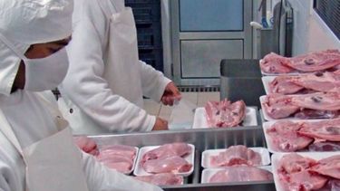 "La Provincia" concentra el 51% de la producción de carne nacional