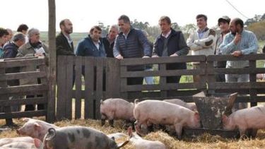 Se presentó la Asociación de Productores Porcinos de la Provincia de Buenos Aires