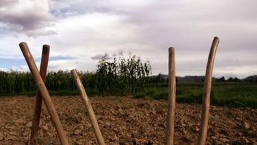 Buscan que zonas rurales sean de arraigo para jóvenes afectados por la pobreza