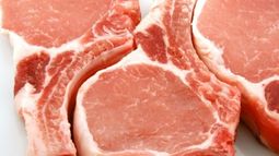 Remarcan que la importación de carne porcina creció más del 46% en 2017