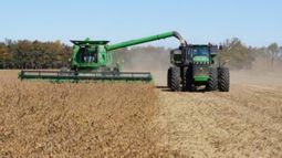 Reducen la expectativa sobre la cosecha de soja de 2018