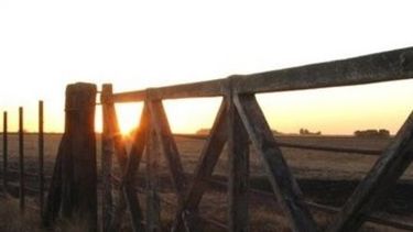 Por la sequía, aumentará el impacto del Inmobiliario Rural