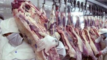 Faena y producción de carne siguen mostrando números negativos