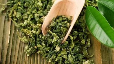 El precio del kilo de la hoja verde de té quedó en 16 pesos