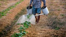 Desde FAA advierten sobre la crisis de los pequeños productores