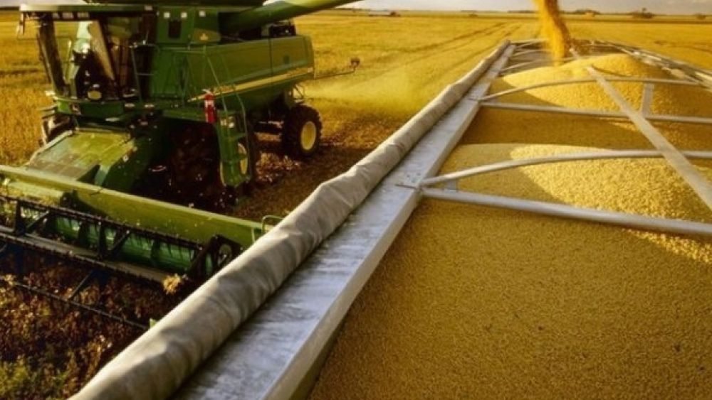La actividad agroexportadora superó los U$S 500 millones la semana pasada