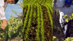 CAME dio fuerte impulso a proyecto para promover las economías regionales