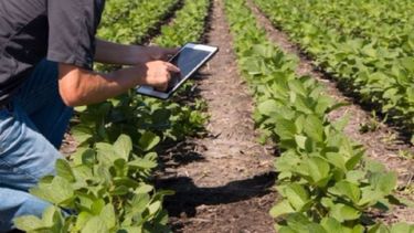 Subrayan que el campo puede generar un millón de empleos en una década