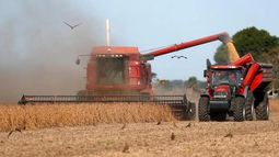 Los últimos reportes sobre la cosecha de soja argentina.