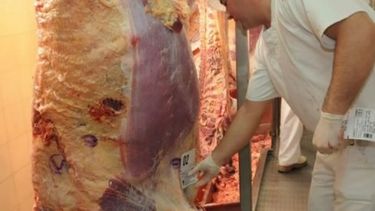 Refuerzan la lucha contra la informalidad en la producción cárnica