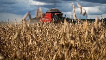 La cosecha de soja sufrió la problemática de excesos de lluvias.