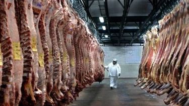 La faena vacuna cayó 6,5% en lo que va del año pero hay señales positivas