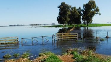 Siete distritos bonaerenses fueron puestos bajo emergencia agropecuaria
