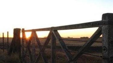 Denuncian un "nuevo golpe al campo santafesino"