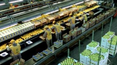 Por un hackeo, San Miguel podría perder unos 15 millones de dólares