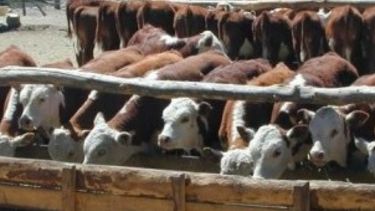 Comprueban que la faena subió por primera vez en el año