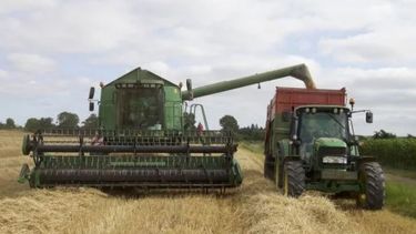 Detectan que el Estado se queda con el 62% de la renta agrícola