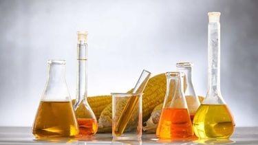 La producción de biodiesel creció más de 11% en el primer semestre