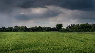 Proyectan una mayor frecuencia de precipitaciones para el próximo trimestre