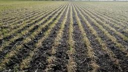 Los pronósticos a corto plazo indican la posibilidad de nuevas lluvias.