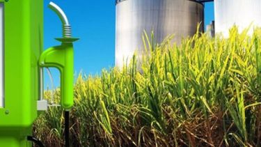 Retoque en los precios del bioetanol a base de caña de azúcar y de maíz