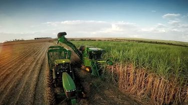 El total de azúcar físico producido es de 1.017.251 toneladas.