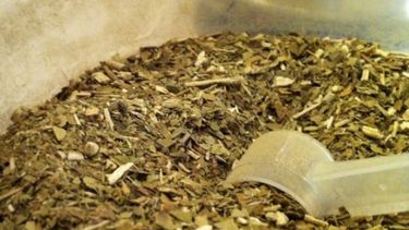 Fuertes demandas de yerbateros nucleados en la Federación Agraria