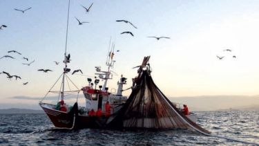 Buscan mejorar el tránsito de productos provenientes de la pesca y acuicultura
