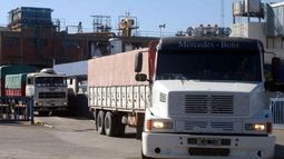 La cadena agroindustrial pidió proteger a los transportistas de granos