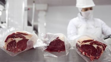 La faena de vacunos tuvo una leve baja en mayo