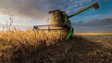 Estiman que la cosecha de soja llegará a 27 millones de toneladas