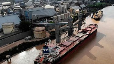 Las ventas al exterior del complejo granario en el corriente año.