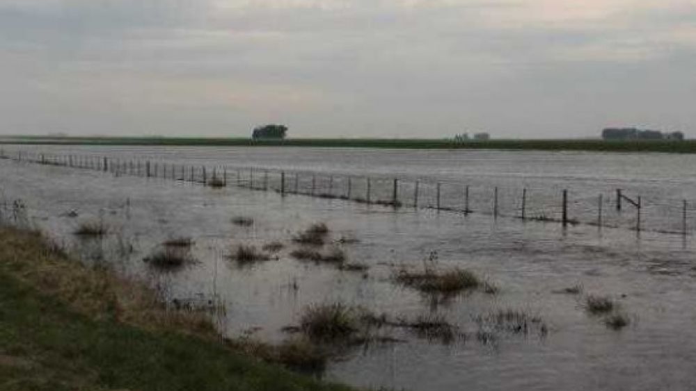 Pequeños productores padecen las inundaciones en General Villegas