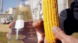 USDA anticipa una suba en la producción de bioetanol argentino