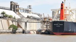 Las exportaciones agroindustriales tuvieron una leve baja en el primer semestre