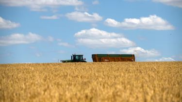 Los inconvenientes para los productores brasileños.