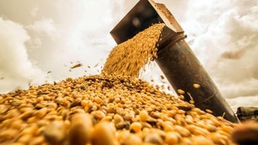 Buenas noticias para el sector agroexportador.