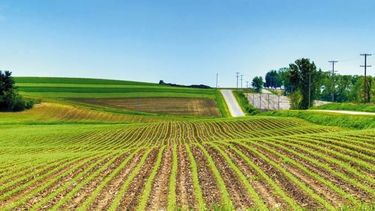 Buscan estrategias para fortalecer las cadenas de valor en el agro