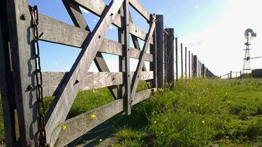 La presión tributaria que implica el aumento del Impuesto Inmobiliario Rural.&nbsp;