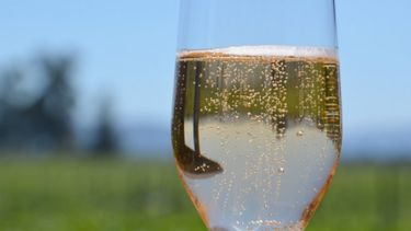 Impuesto a los espumantes pone en alerta a productos de vino