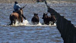 Presentan proyectos para bajar tarifas a productores bonaerenses afectados por el mal clima