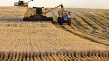 La zona núcleo podría contener 1 millón de toneladas de trigo más que en 2015