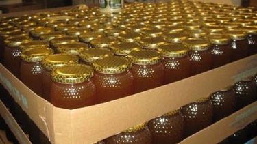 Las exportaciones bonaerense de miel llegaron un récord