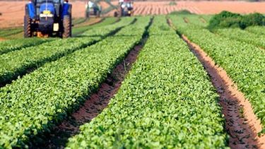 Reforma impositiva: asignatura pendiente para el agro