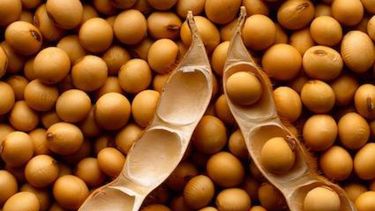 Bajaron las compras de granos por parte del sector exportador