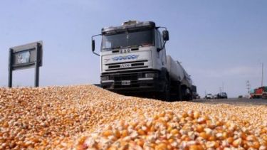 Alertan a los productores sobre cambios en la Comercialización de Granos