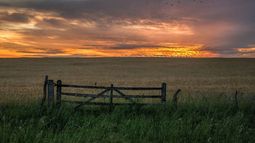 El BM estimó que el campo argentino tendrá grandes pérdidas hasta el 2050