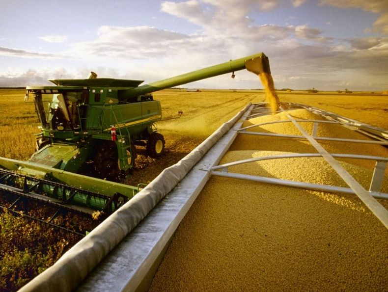 Esperan que la cosecha de soja suba a más de 53 millones de toneladas
