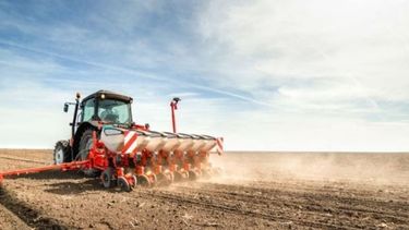 Continuó la implantación de la soja tardía o de segunda en Santa Fe.