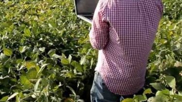 Los resultados del Censo Agropecuario se publicarán a mediados del 2019